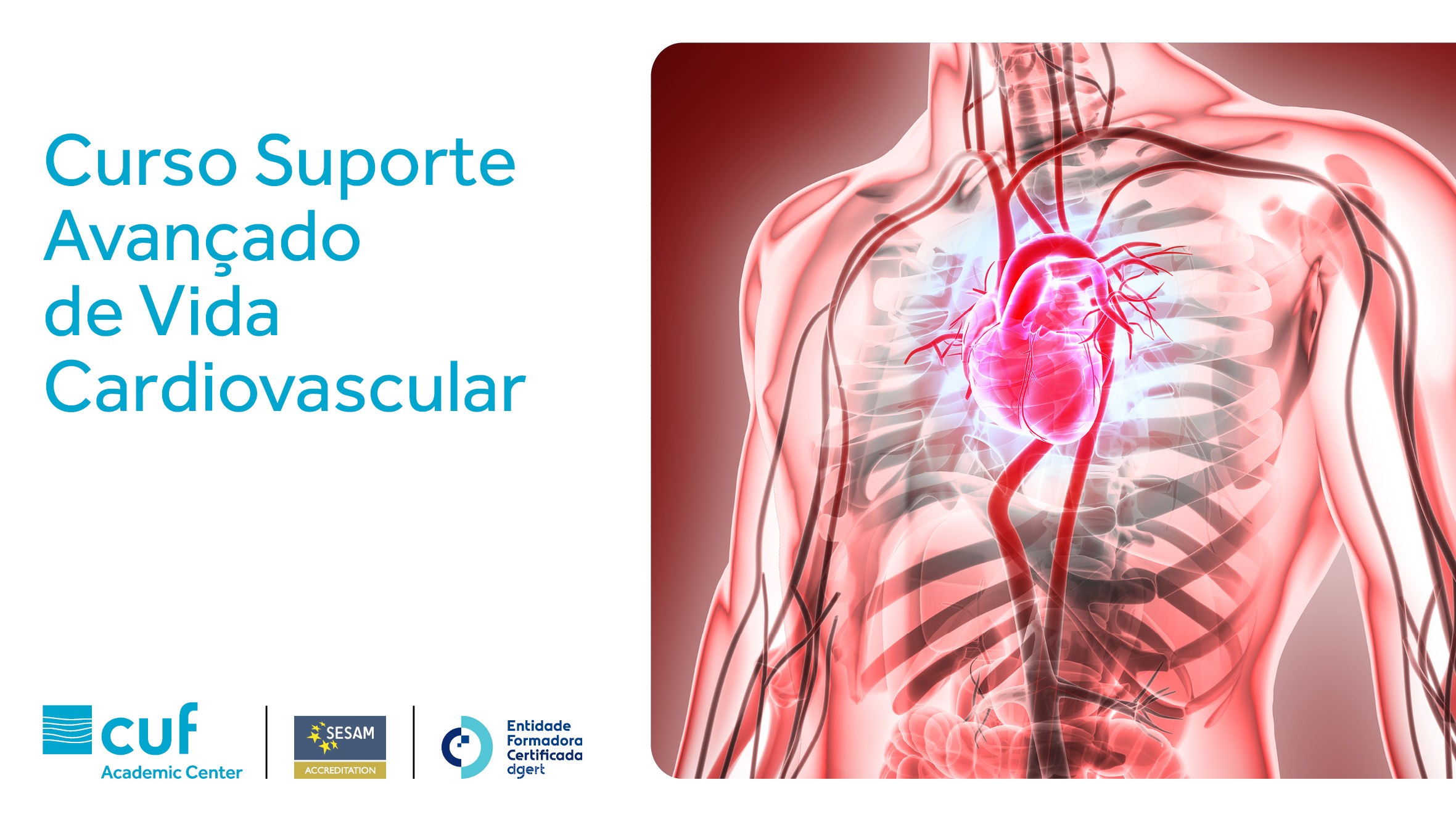 Curso Suporte Avançado de Vida Cardiovascular 2026 | 26 novembro | Porto