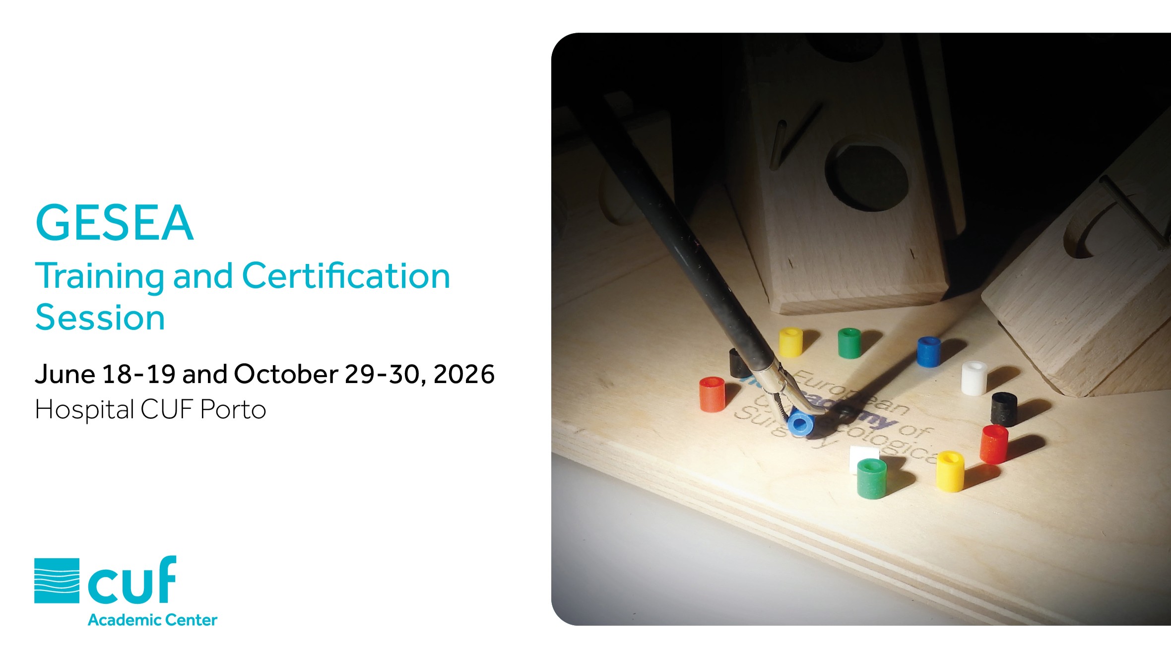 GESEA Training and Certification | 29 e 30 outubro
