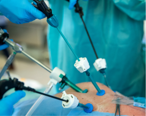 Minimally Invasive Gynaecological Surgery - Hands-on Cadaver Lab (3ª edição)